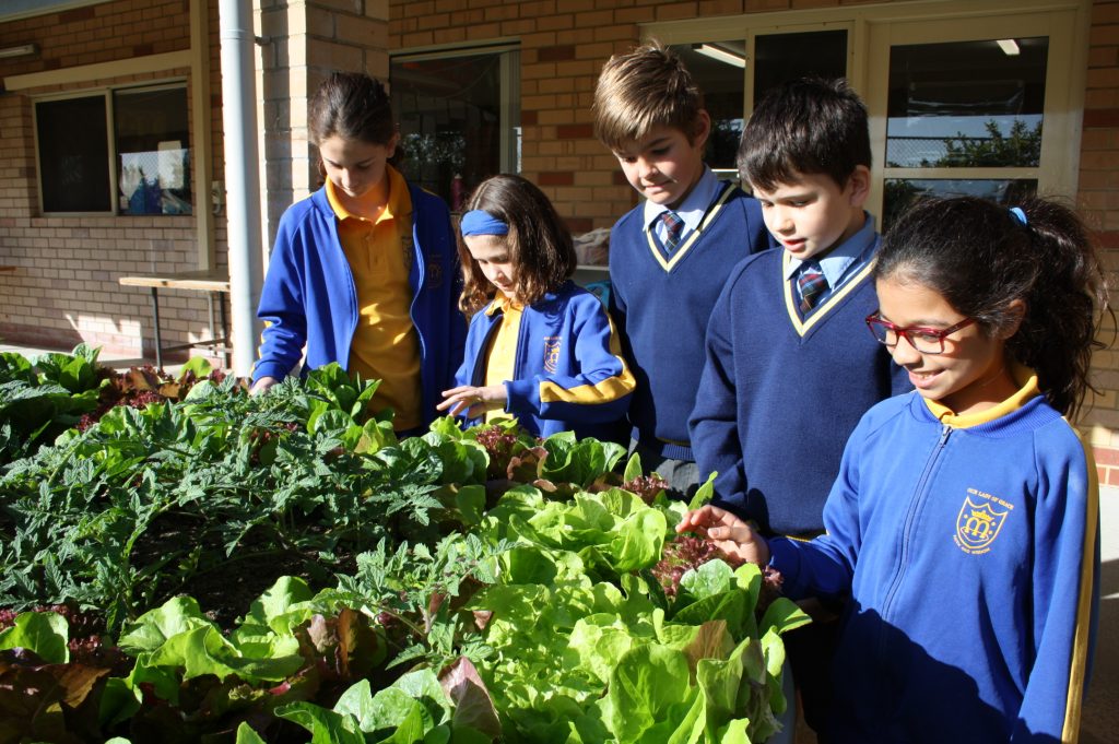 Stephanie Alexander Kitchen Garden