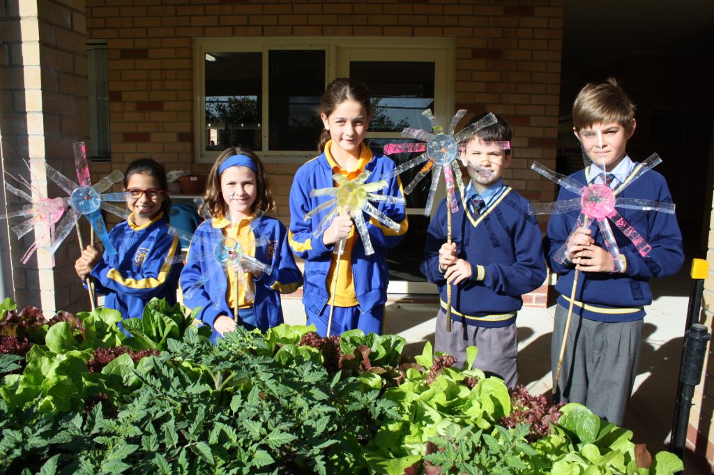 Stephanie Alexander Kitchen Garden