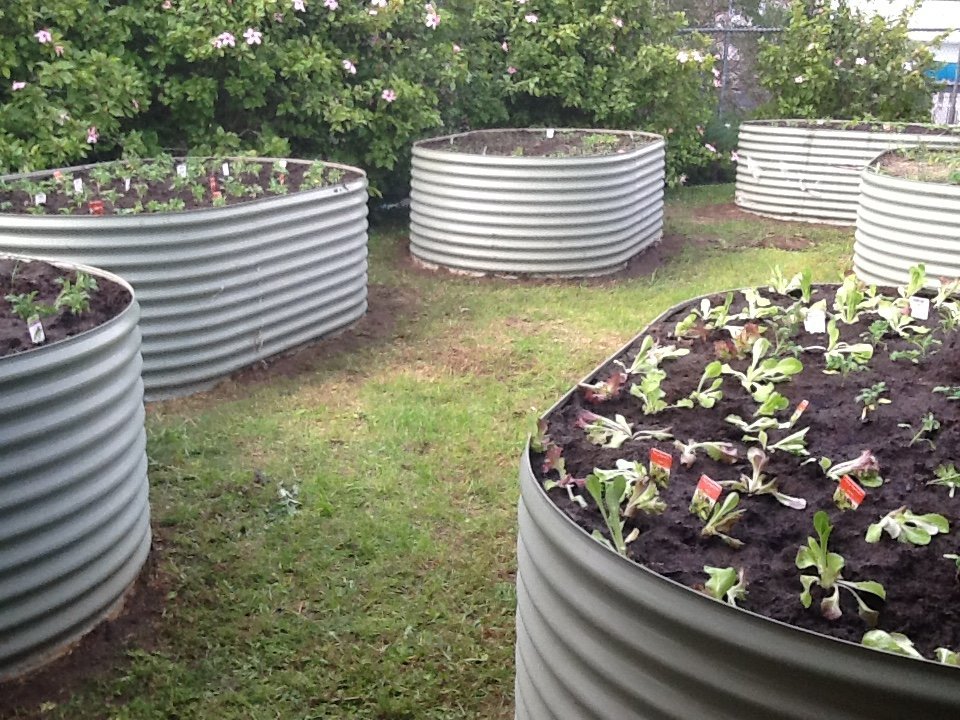 Stephanie Alexander Kitchen Garden