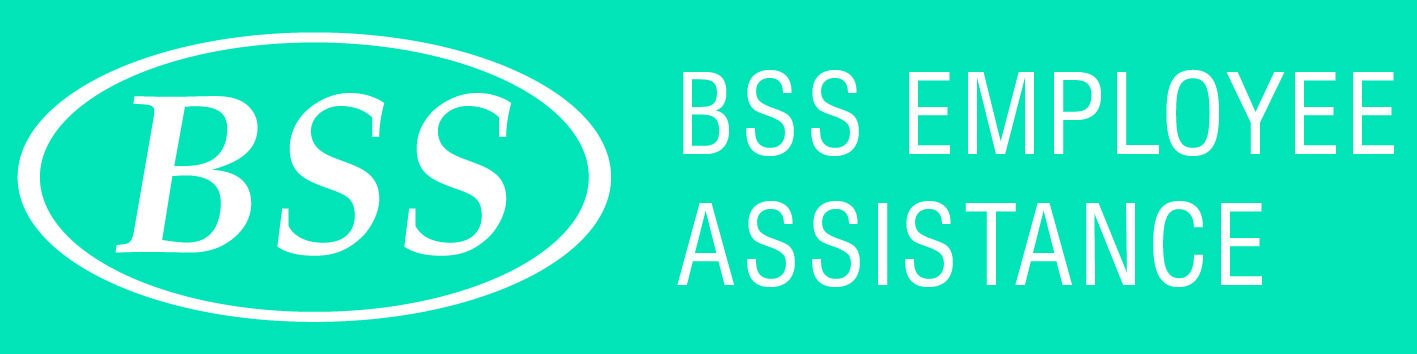 BSS logo1 BSS logo1